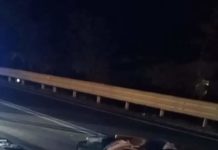 Incidente stradale sulla Ss18 all’altezza di Torremezzo (Cs)