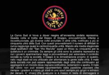 Curva sud Cosenza, quasi 150 diffidati “Cosí allontanate la gente dallo stadio”