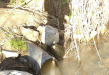 Lettere alla redazione “Ecco la depurazione a Belvedere M.”