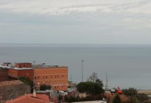 Spoke, Cambia Paola chiede l’immediata rimozione di Vincenzo Cesareo