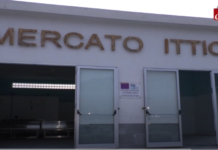 Cetraro, le ansie le paure e l’ombra del Clan Muto sul mercato ittico, gli amministratori lanciano un monito