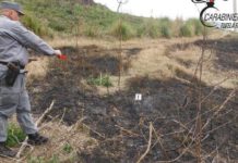 Fiumefreddo Bruzio, brucia residui vegetali e incendia 15mila mq di bosco
