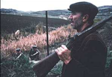 Ndrangheta, montagna e lupara, gli interessi dei Clan ed i morti nei boschi calabresi