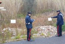 Tagli abusivi nel Cosentino. Denunciata ditta e posti sotto sequestro dodici ettari di bosco di latifoglie