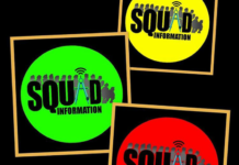 Pizzini-Pisani di Paola, Il progetto Squad Information per il monitoraggio civico e la musica