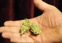 “Portami i soldi o ammazzo tuo figlio” Le minacce di un pusher sul tirreno cosentino