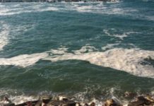 Cattiva depurazione in Calabria, le colpe di Mario Oliverio e dell’assessore Rizzo