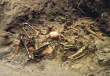 Fuscaldo, trovate ossa (e resti umani?) in un campo agricolo