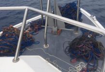 Amantea, sequestrati svariati attrezzi da pesca professionale utilizzati in maniera illegittima.