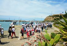 Cetraro d’aMare: quando la vela è cultura, ambiente e turismo