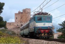 Pensionato travolto e ucciso da un tronco d’albero al passaggio del treno