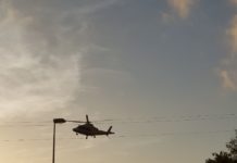 Agricoltore ferito gravemente da una mucca, interviene elisoccorso