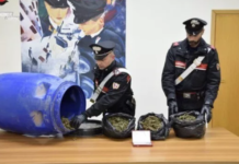 Trasportava oltre due chili di Marijuana in auto, arrestato 31enne