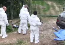 I due cadaveri trovati potrebbero essere degli allevatori scomparsi La Ndrangheta rurale uccide ancora
