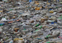 Nel Tirreno c’è una nuova isola, ma è di plastica