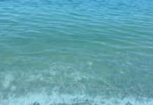 Prima Domenica di mare, ma l’acqua é piena di liquami