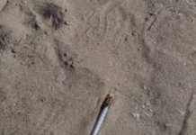 Paura ad Amantea, ragazza gira un corto in spiaggia e si ferisce con una siringa