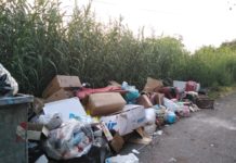 “Da Diamante vengono a buttare i rifiuti a Belvedere” Il sindaco Cascini sbotta