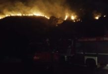 Torna a bruciare la Calabria, sul tirreno cosentino incendi e paura