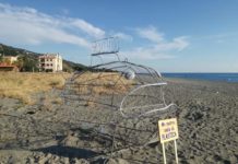 Longobardi, posizionato in spiaggia il pesce mangia plastica, campagna di sensibilizzazione importante della PRO LOCO
