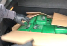 Gioia Tauro, scoperti 270 chili di cocaina, il carico proveniva dal Guatemala nascosto tra ananas