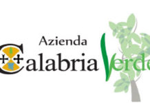 Calabria Verde, corte dei Conti conferma sequestro dei beni per tre persone