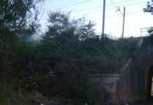 Fuscaldo, PROBLEMI DI PULIZIA DEL TERRITORIO E DI IGIENE PUBBLICA, informato il prefetto