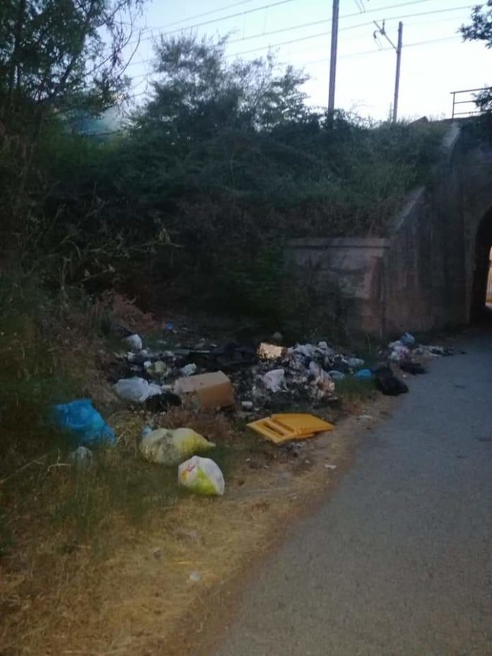 FB_IMG_1565691642217