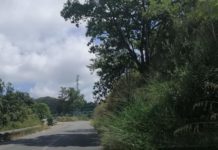 Belvedere, il degrado e la pericolisitá della strada provinciale 263 (ex SS 105)