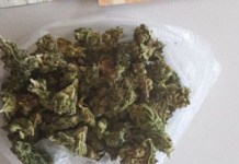 Viaggiava con una busta di Marijuana “calabrese” in auto, arrestato 30enne