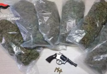 Piantagioni, marijuana pronta allo spaccio ed armi, arrestato 48enne