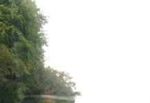 Bonifati Incidente stradale sulla strada statale 18