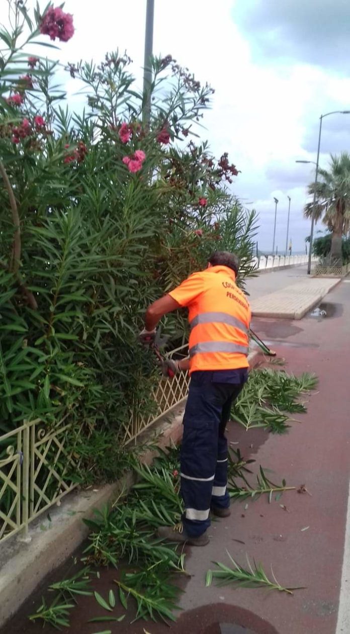 69674761_404357156920169_8639197046546366464_n