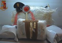 COSENZA, 28,1 KG DI MARIJUANA NASCOSTI SU TIR
