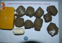 Sei etti di coca e una pistola in un bunker, arrestato 45enne