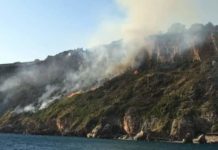 Incendi in Calabria, il PSR colpisce ancora?