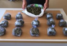 In auto senza assicurazione e con 2 chili di Erba, arrestato 26enne