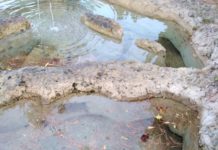 Paola, la fontana nella villa comunale abbandonata nel degrado ( e senza pesci )