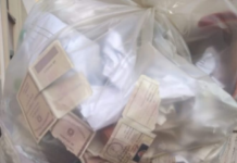 Reggio, al Comune carte d’identità strappate tra i rifiuti “Alla faccia della privacy”