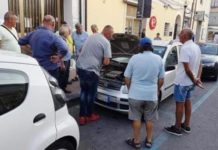 Terrore ad Amantea, entra in auto e trova un grosso serpente