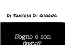 La Ndrangheta e gli estremisti di destra: Sogno o son desto?