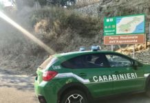 SORPRESO AD APPICCARE FUOCO ALL’INTERNO DEL PARCO NAZIONALE D’ASPROMONTE: ARRESTATO