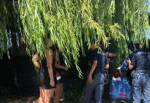 Servizi anti prostituzione in Calabria, fermate escort e diversi clienti