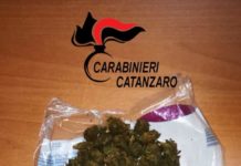 TENTA DI BUTTARE MARIJUANA NEL WC: ARRESTATO SPACCIATORE