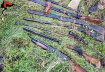 ASPROMONTE: CARABINIERI TROVANO ARMI E PIANTAGIONI DI MARIJUANA