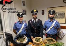 Altri due arresti in Calabria, padre e figlio in possesso di 5 KG di Marijuana