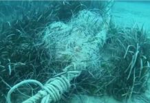 Fondali Isola Dino, ritrovate cime per ancoraggi