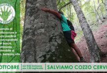 Paola, dopo la “Rivolta” degli ambientalisti Perrotta sospende il bando, Cozzo Cervello é salvo