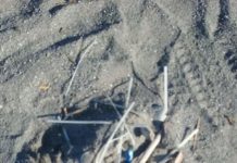 Praia a Mare, Spiaggia bene comune non Far West