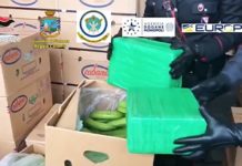 Porto Gioia Tauro, 1200 chili di cocaina sequestrati, erano occultati tra le banane
